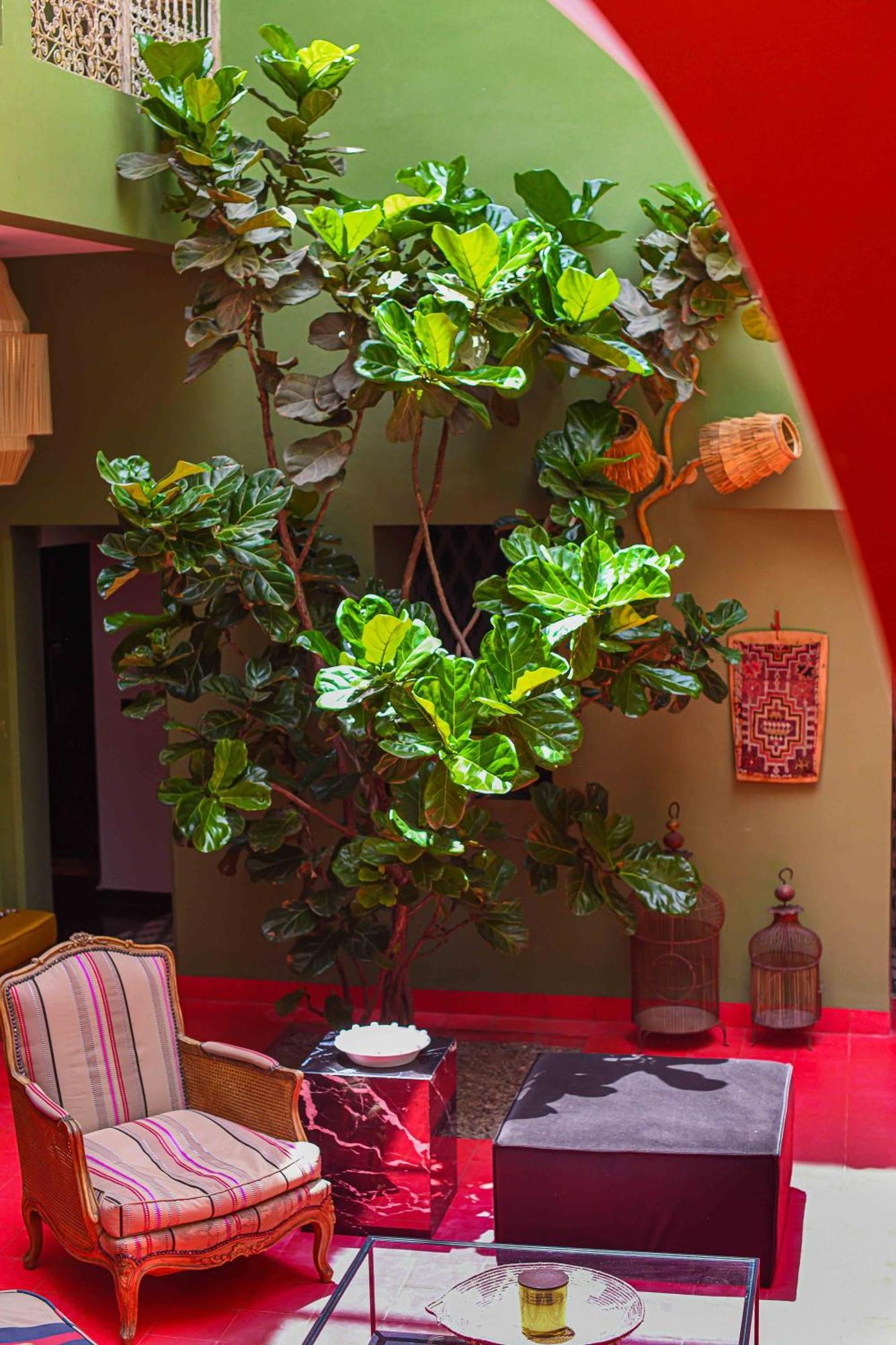 Hotel Riad Olive Privatif 4 Personnes Marrakesh Exterior foto